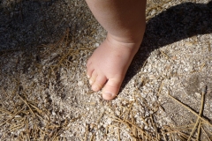 Picture of baby's foot